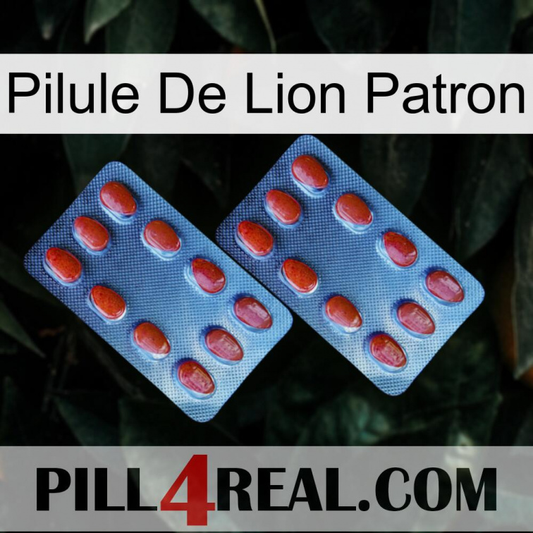 Boss Lion Pill 05